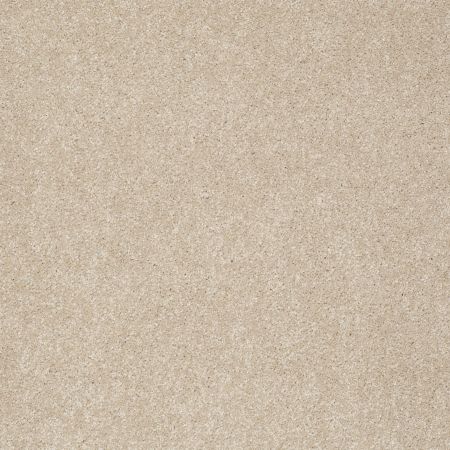 Shaw Floors Roll Special Xz071 Hickory