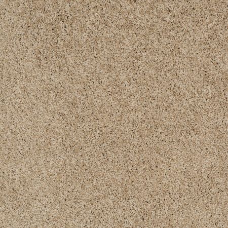Shaw Floors Roll Special Xz075 Hazelnut