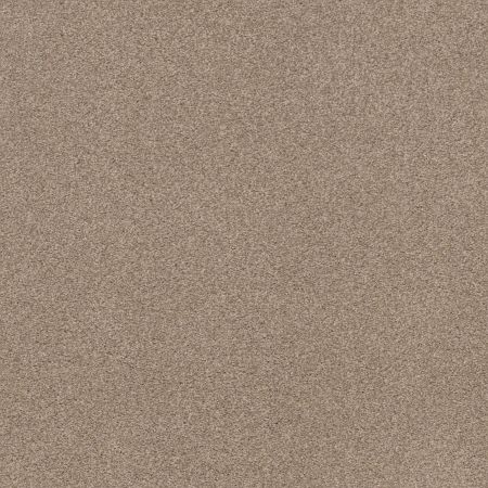Shaw Floors Xz175 Natural Beauty