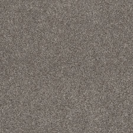 Shaw Floors Pet Perfect Plus Xz194 Newstone Haven