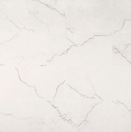 MSI Surfaces Brighton Grey 24x48 Matte Porcelain