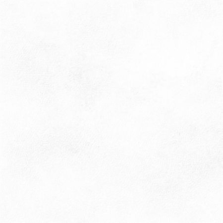 Emser Citizen Civilian - 24x48 Matte