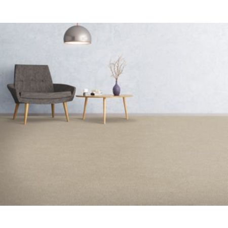 Mohawk Soft Comfort Classical