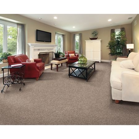 Mohawk Everstrand Soft Appeal Softly Elegant I Honeywood