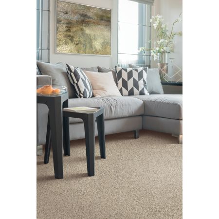 Mohawk Everstrand Soft Appeal Soft Sensations II Studio Taupe