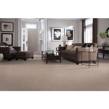 Mohawk Everstrand Elegant Appeal III Iron Rust