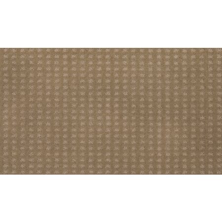 Mohawk Smartstrand Outstanding Artistry Homegrown