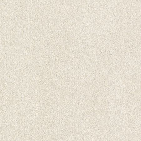 Mohawk Smartstrand Ideal Outlook Winter Wind