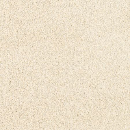 Mohawk Everstrand Treasure Valley Bone