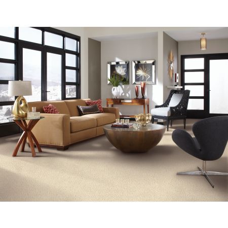 Mohawk Smartstrand Silk Pleasant Touch Classic Silver