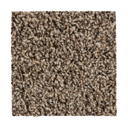 Mohawk Everstrand Medalist Bridle