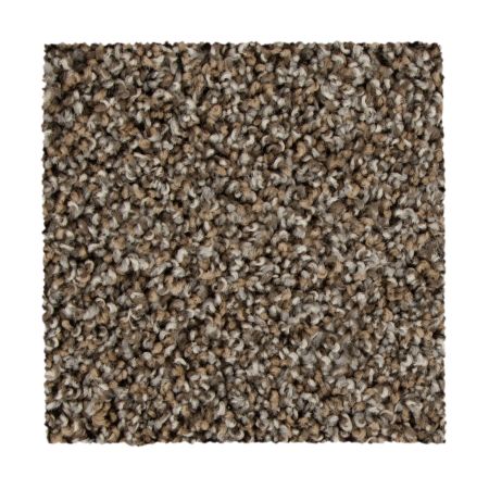 Mohawk Everstrand Color Fusion I Driftwood