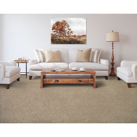 Mohawk Everstrand Color Fusion II Driftwood