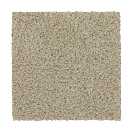 Mohawk Smartstrand Effortless Choice Winter Wind