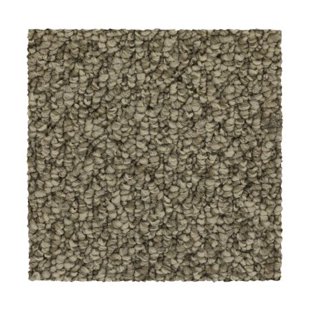 Mohawk Everstrand Cozy Classic Mushroom