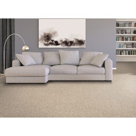 Mohawk Everstrand Cozy Classic Charcoal