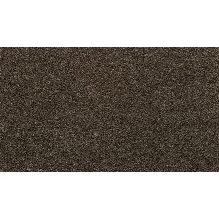 Mohawk Everstrand Bold Choice Longhorn