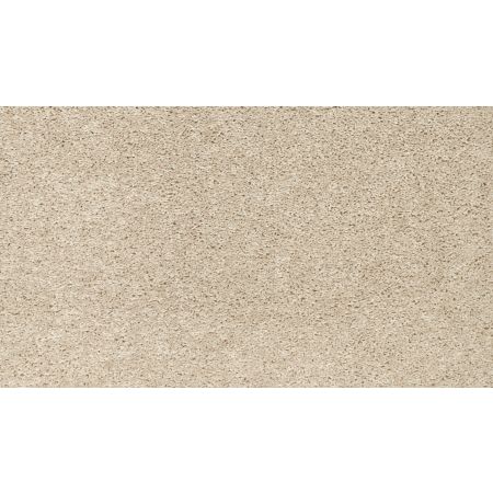 Mohawk Everstrand Winning Hand III Picnic