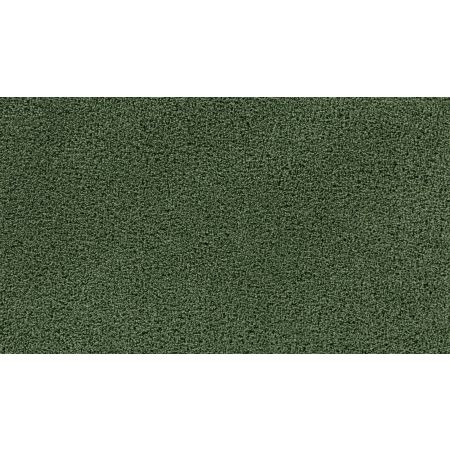 Mohawk Smartstrand Gentle Path Lucky Clover