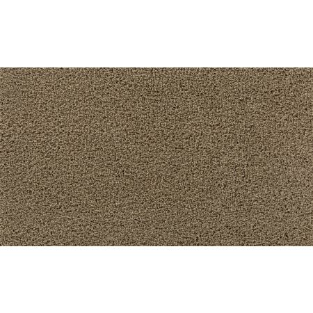 Mohawk Smartstrand Gentle Path Tender Moment