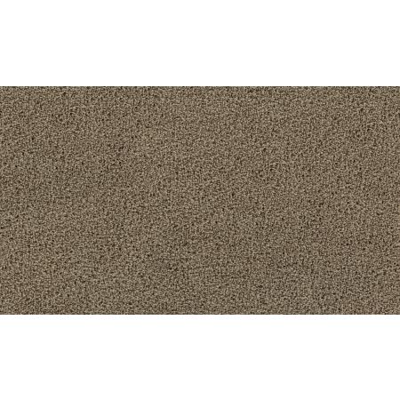 Mohawk Smartstrand Gentle Path Salutation