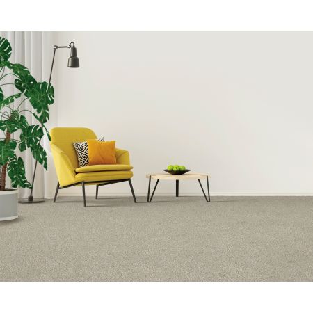 Mohawk Smartstrand Gentle Path Pebble Trail