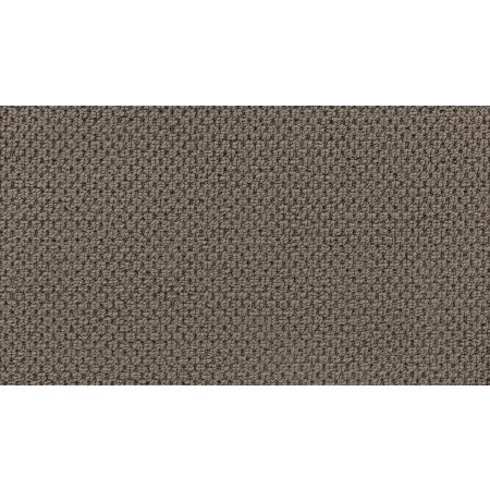 Mohawk Everstrand Remarkable Quality Meteorite