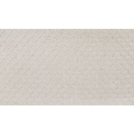 Mohawk Everstrand Champion II Reflections