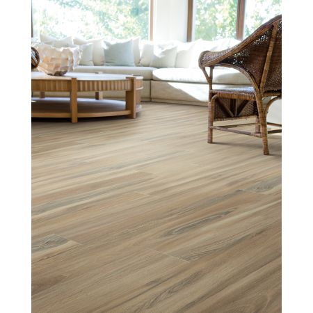 Mohawk Solidtech Select Explorer's Cove Sandy Valley