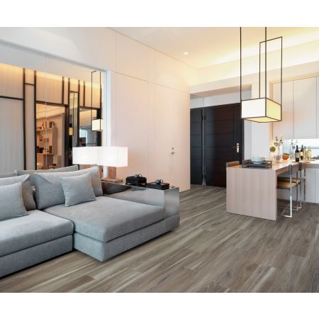 Mohawk Solidtech Select Explorer's Cove Dolphin