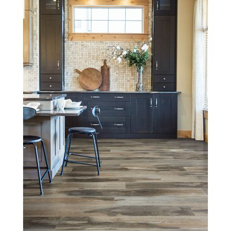 Mohawk Solidtech Select Explorer's Cove Raccoon