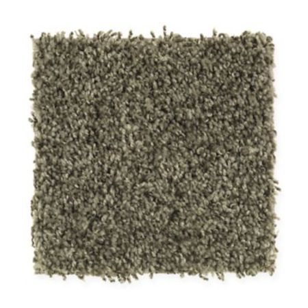 Mohawk Desert Portrait Jungle Canopy