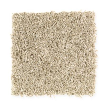 Mohawk Desert Portrait Linen Canvas