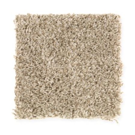 Mohawk Desert Portrait Champagne