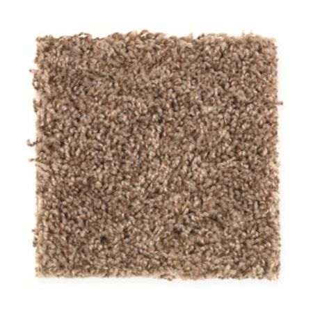 Mohawk Desert Portrait Caramel Ripple