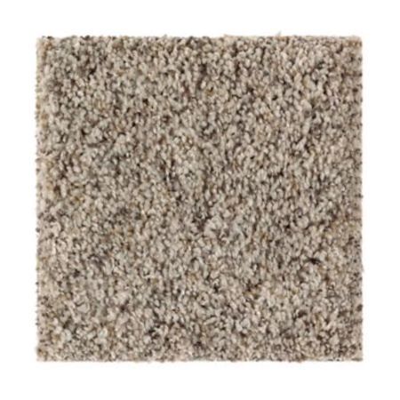 Mohawk Perfect Direction Sand Dollar