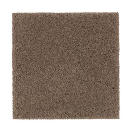 Mohawk Absolute Elegance I Rich Earth