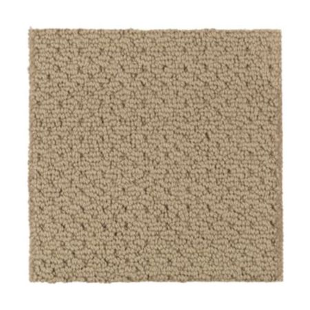 Mohawk Nature's Beauty Toasted Bagel