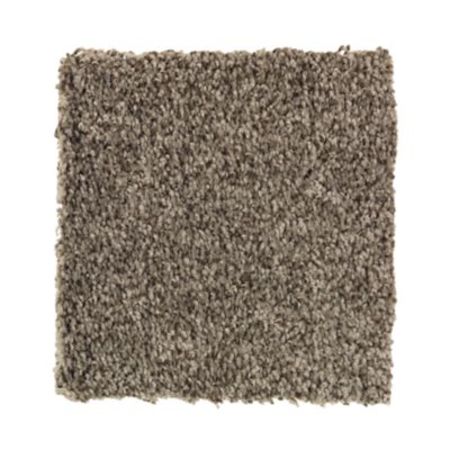 Mohawk Beautiful Variety II Black Walnut