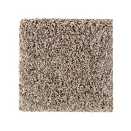 Mohawk Color Medley I Winter Delta