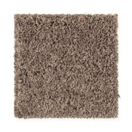 Mohawk Crisp Vision I Woodland