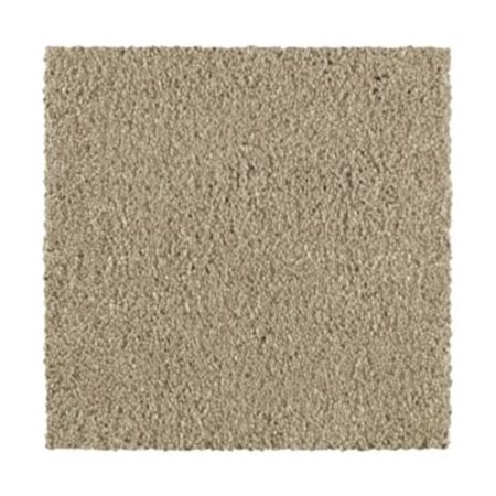 Mohawk Distinct Beauty III Dunedrift