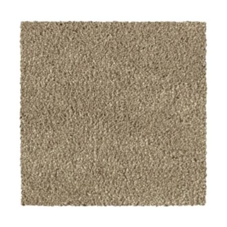 Mohawk Distinct Beauty III Yearling