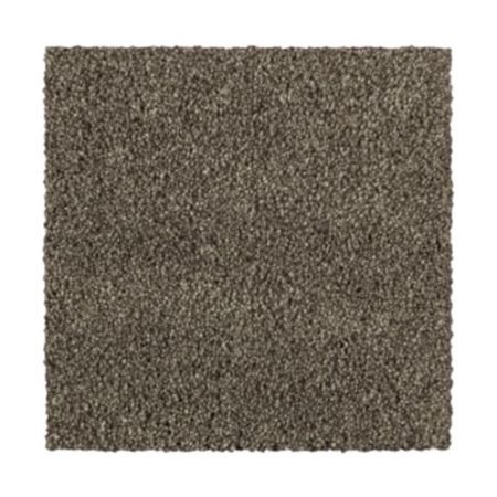 Mohawk Distinct Beauty III Native Soil