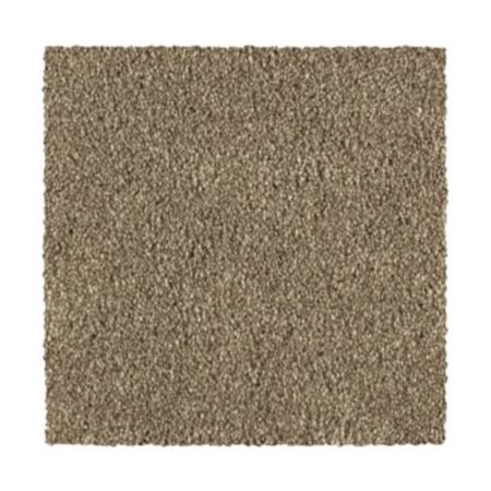 Mohawk Distinct Beauty III Dakota