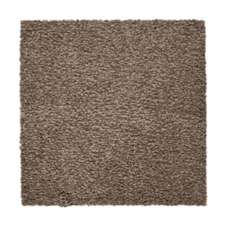 Mohawk Serene Outlook Steeplechase