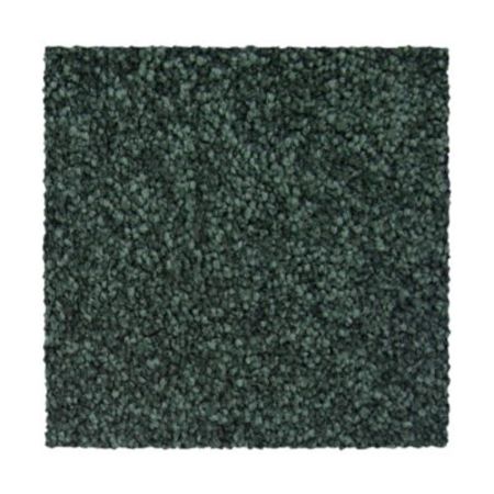 Mohawk Tempting Idea Eden