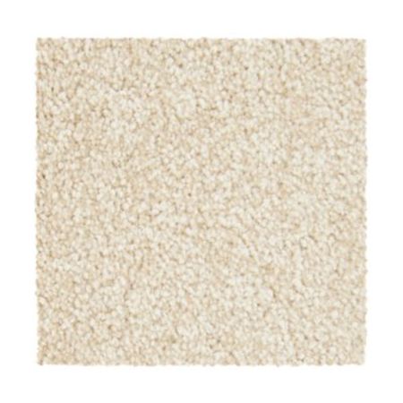 Mohawk Tempting Idea Mission