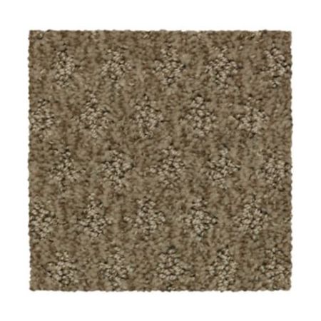 Mohawk Arbor Wonder Desert Accents