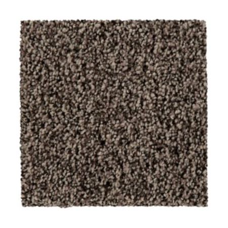 Mohawk Certain Exposure I Light Moves